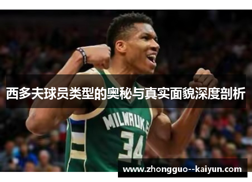 西多夫球员类型的奥秘与真实面貌深度剖析