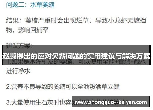 赵鹏提出的应对欠薪问题的实用建议与解决方案